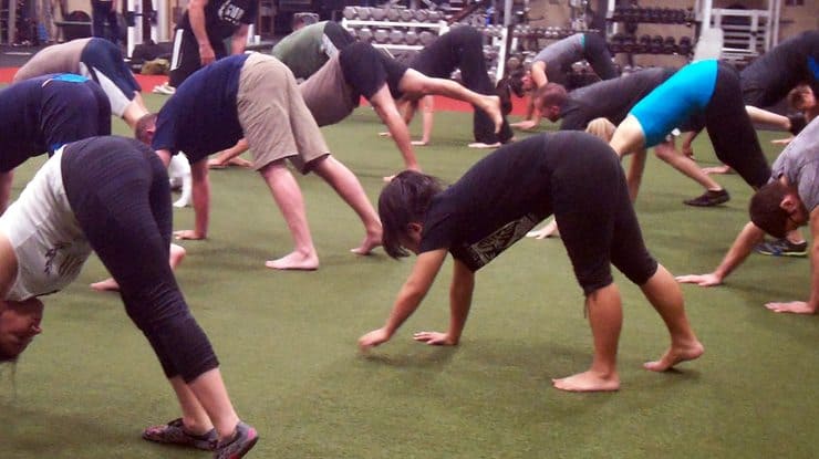 Animal Movements: Locomotor Exercises for Weird Looks and Incredible Agility 2 Seminar group performing bear crawl