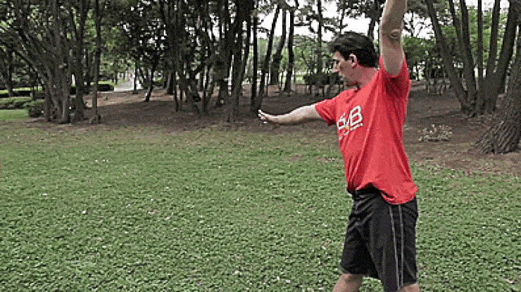 Cartwheel Tutorial: Learn How to Do the Perfect Cartwheel 3 Cartwheel