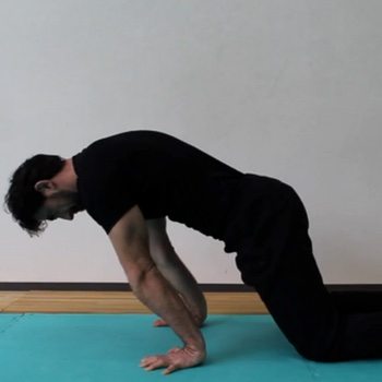 Planche Progression: Video Tutorial and Training Breakdown 3 Ideal Body Position for the Planche