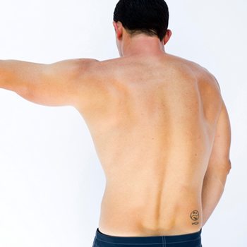 Animal Movements: Locomotor Exercises for Weird Looks and Incredible Agility 7 Back in flexion