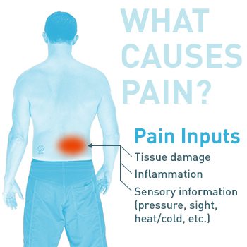 What Causes Pain?