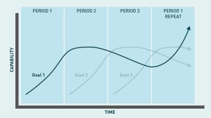 Periodization