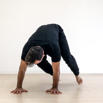 Front & Back Scales: Knee Stability & Single-Leg Strength 1 Locomotive monkey movement pattern