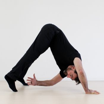 Ryan Hurst Bear to Forward roll