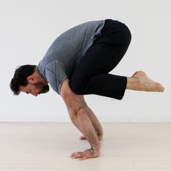How to Get into the Crow Pose, Even if You've Never Been Able to Do It 9 Crane pose demonstration