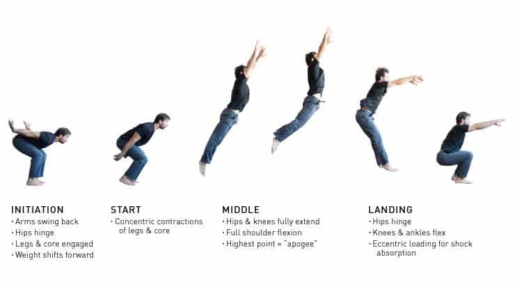 Jumping Fundamentals: How to Jump for More Power and Skill 2 The full range of broad jumping