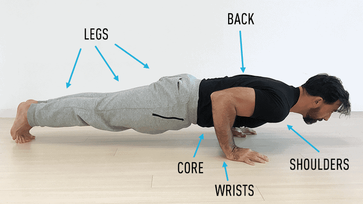 what muscles are worked in push-ups