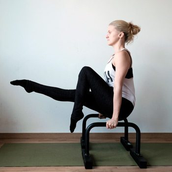 Step-by-Step Bodyweight Progressions Got You Stuck? How to Improve Your Skills With Less Frustration 4 l-sit on parallettes