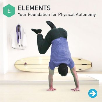How Steve Got "Full Results from a Half-Assed Effort" With Elements 6 CTA E 350