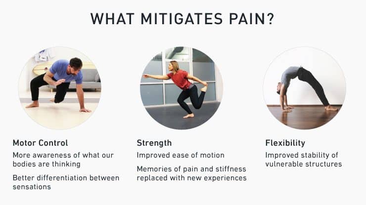 Tendon Strength & Connective Tissue Health 18 mitigating pain