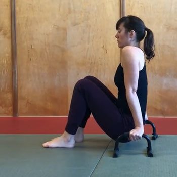 Shoulder Pain: Shoulder Exercises & Movements for Pain Relief 12 Shoulder exercise on parallettes