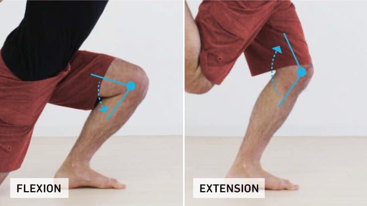 Overcome Knee Pain: Knee Health Exercises 1 Knee flexion and extension