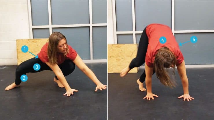 Beginner? Here's the ONLY 2 Exercises You Need 5 monkey full body stretch