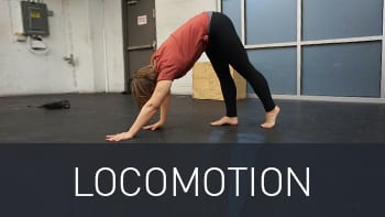 The Ultimate Guide to Bodyweight Exercise 6 locomotion img