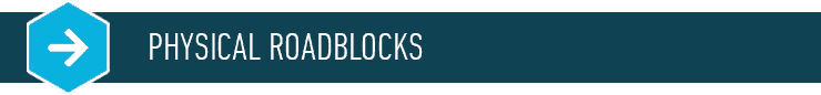 The Ultimate Guide to Bodyweight Exercise 12 Physical Roadblocks