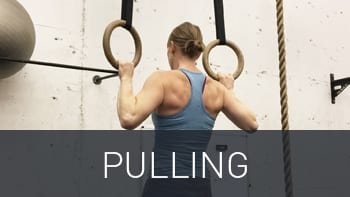 The Ultimate Guide to Bodyweight Exercise 10 pulling img