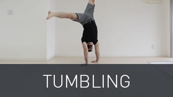 The Ultimate Guide to Bodyweight Exercise 8 tumbling img