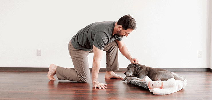 bending down to pet dog hip problems