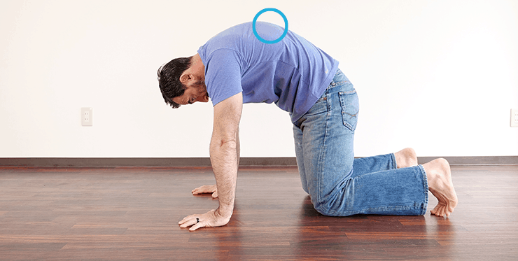 Joint Mobility Exercises for Health, Function, and Workout Preparation 6 gmb fitness joint mobility quadruped spine circles