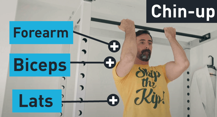 Chin-ups work the biceps and lats muscles worked chin-up