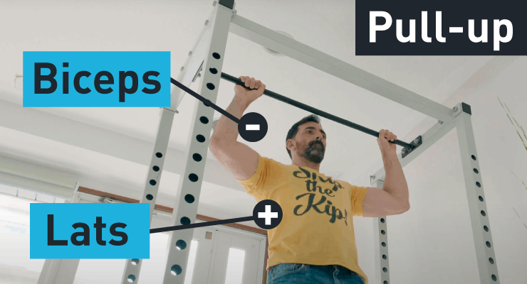 Pull-ups work mostly the lats pull-up muscles being worked