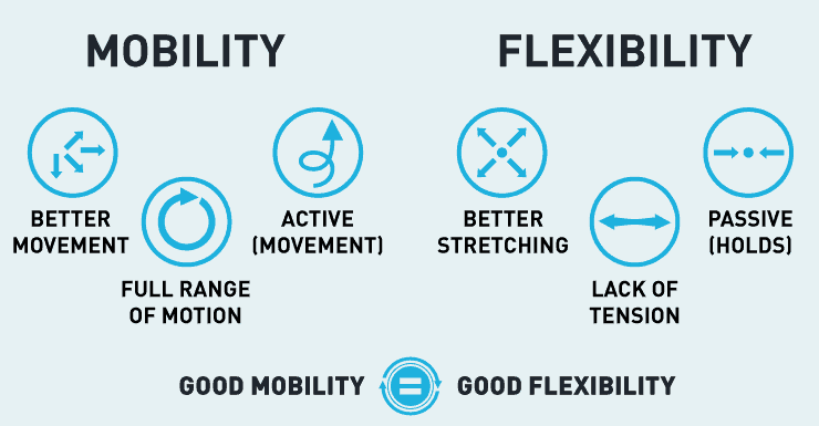 mobility vs flexibility infographic
