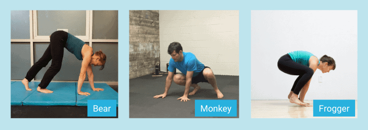 Stop Trying To Replace Gym Exercises with Bodyweight Alternatives - How To Train Correctly Without Weights 3 bear frogger monkey