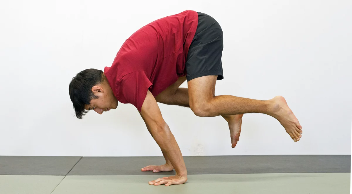 movement flow exercises