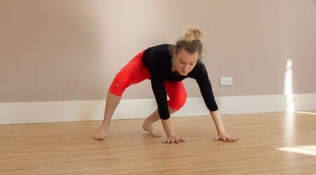Animal Movements: Locomotor Exercises for Weird Looks and Incredible Agility 5 monkey exercise