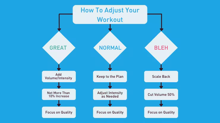 Autoregulation: The Missing Key to Sustainable Progress in Your Training 4 Adjust Flowchart png