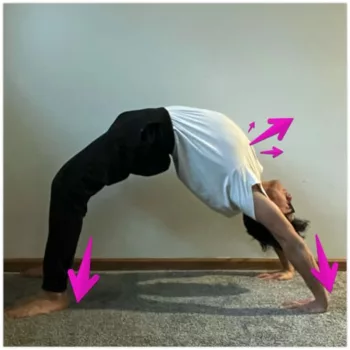 full bridge position