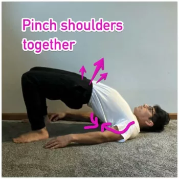 shoulder bridge
