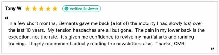 elements back pain review jpg