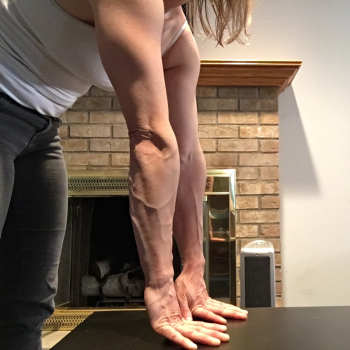 Grip Strength: How to Develop a Capable and Resilient Grip 4 forearm muscles