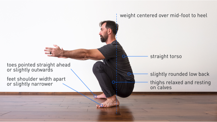 Beyond the Resting Squat: What You Really Need for Optimal Lower Body Resilience and Capability 1 Idealized squatting form