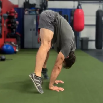 Defy Gravity and Rise to the Challenge: Building Resilience and Mastery with the Press to Handstand 4 Hip Lift Set Up jpg