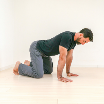 Defy Gravity and Rise to the Challenge: Building Resilience and Mastery with the Press to Handstand 10 Wrist Preparation